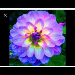 Meet your Posher, Keyla